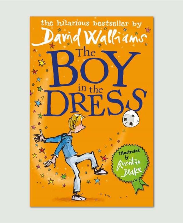 The Boy in the Dress by David Walliams